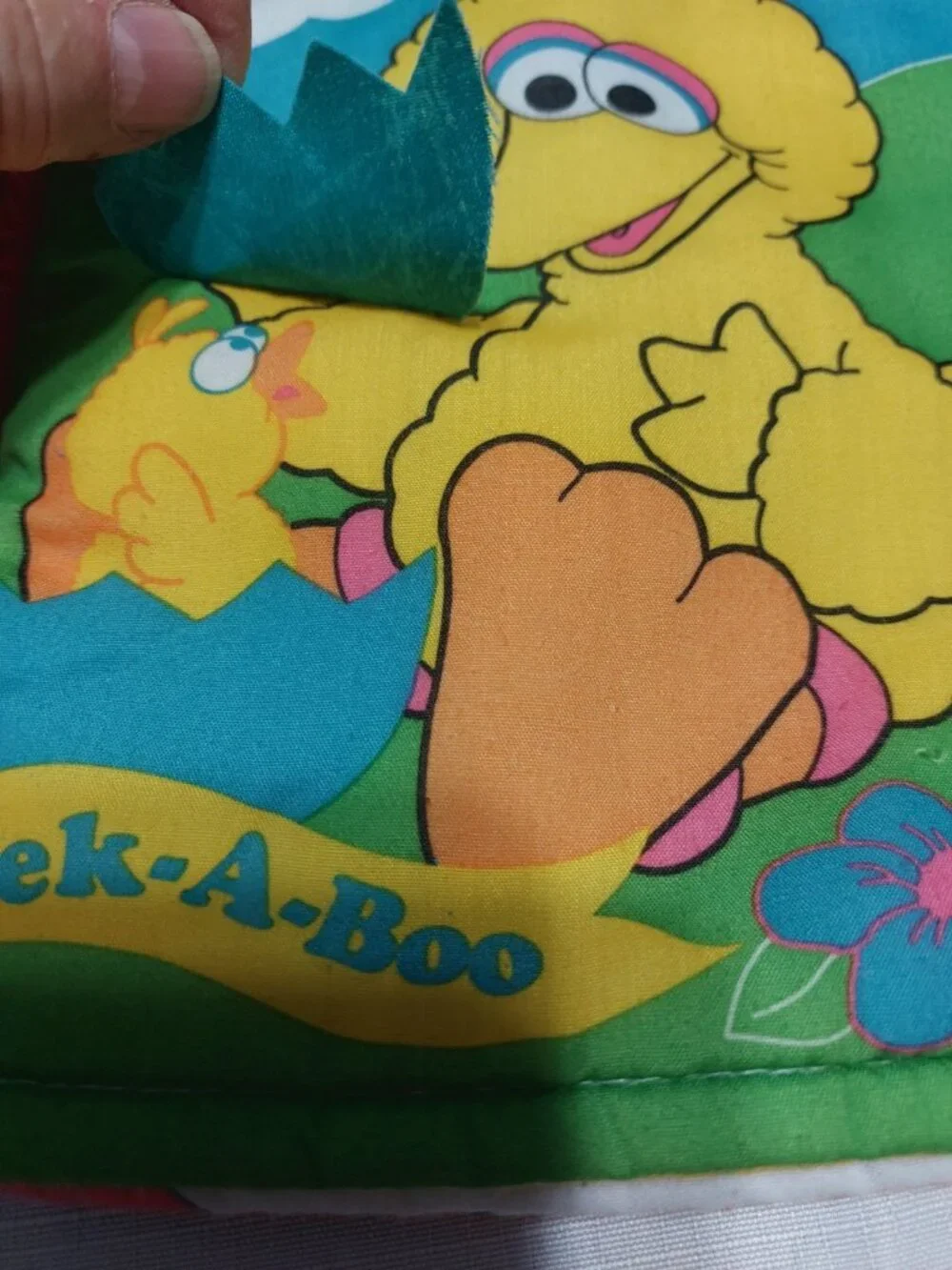 kid dimension sesame street
